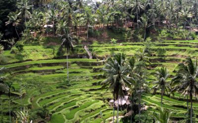 2 Days 1 Night Bali Package Outing Tour