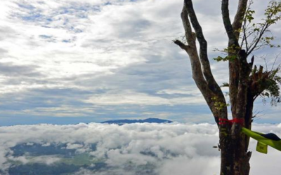 3 Days 2 Nights TORAJA PACKAGE TOURS